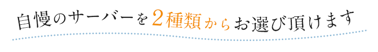 自慢のサーバーを2種類からお選び頂けます